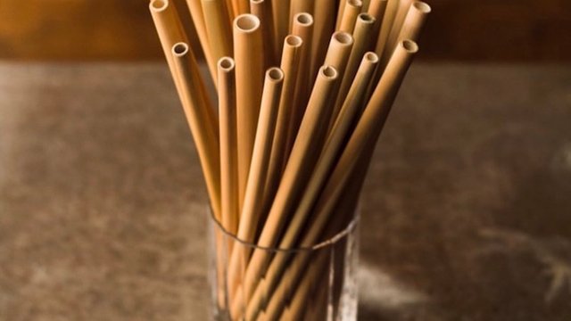 bamboo straws in cup.jpg