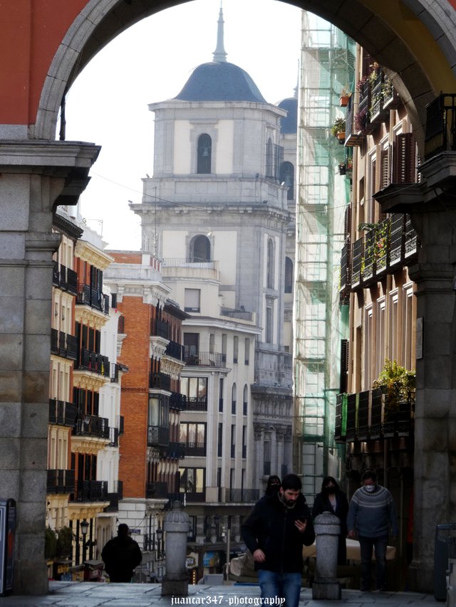 P1160560_acopia.jpg