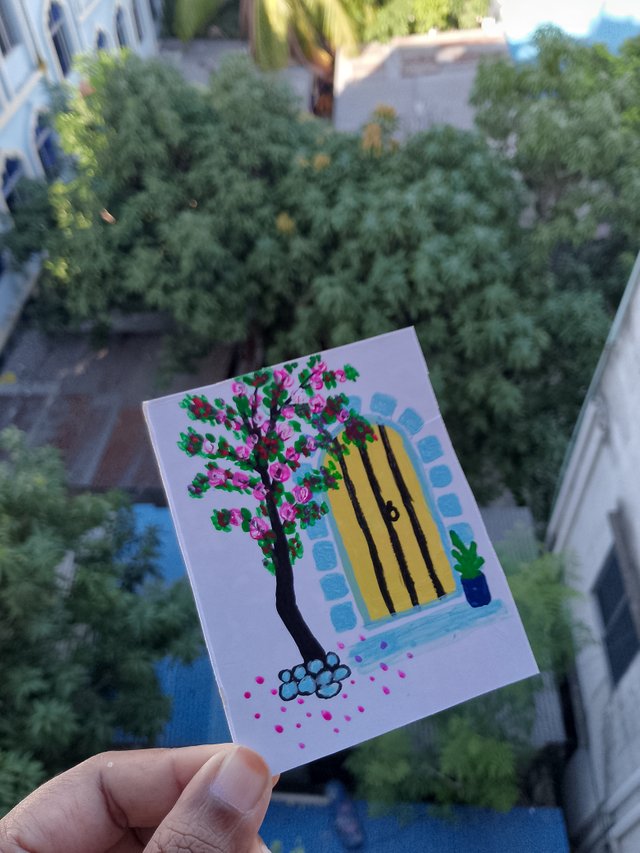 1000057367.jpg