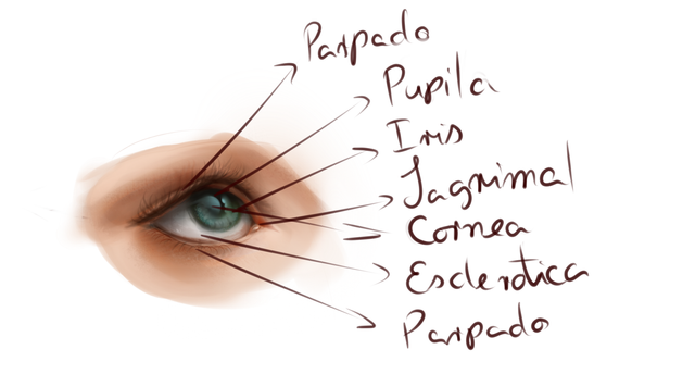 eyes practices2.png
