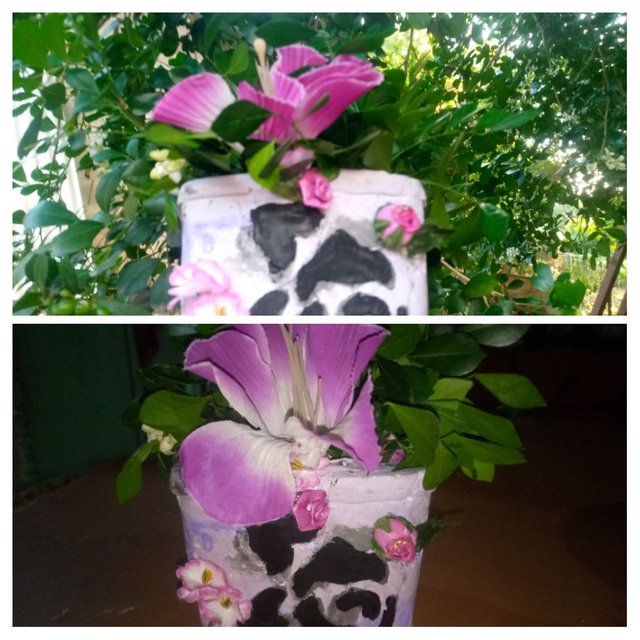 IMG_20250921_201028-COLLAGE.jpg