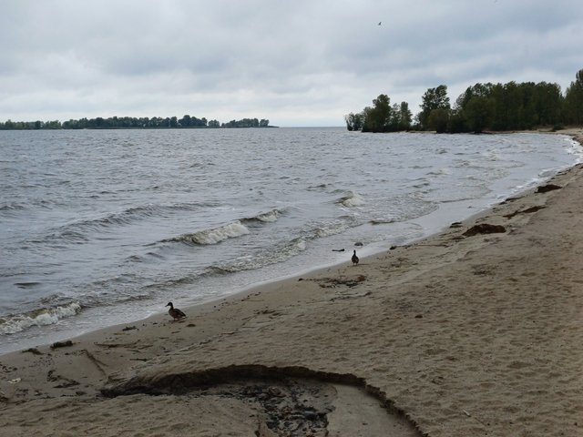 20250918_092834.jpg