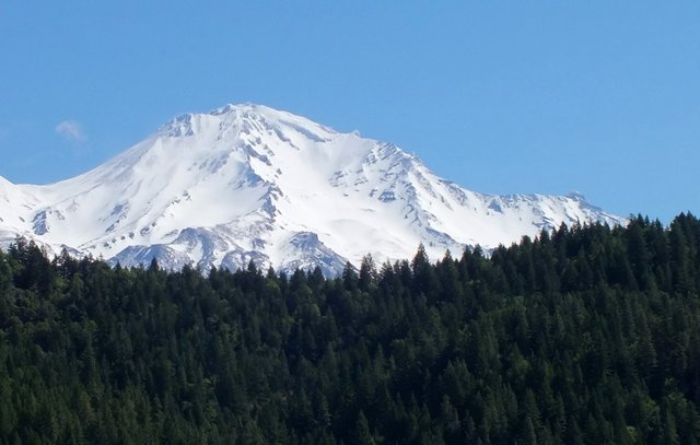 1130-Shasta.jpg