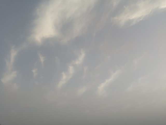 1000046607.jpg