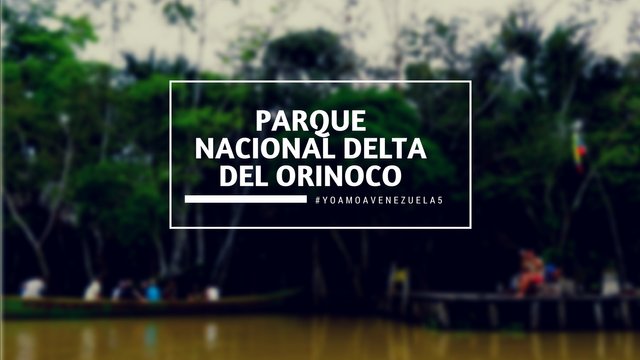 Parque Nacional Delta del Orinoco.jpg