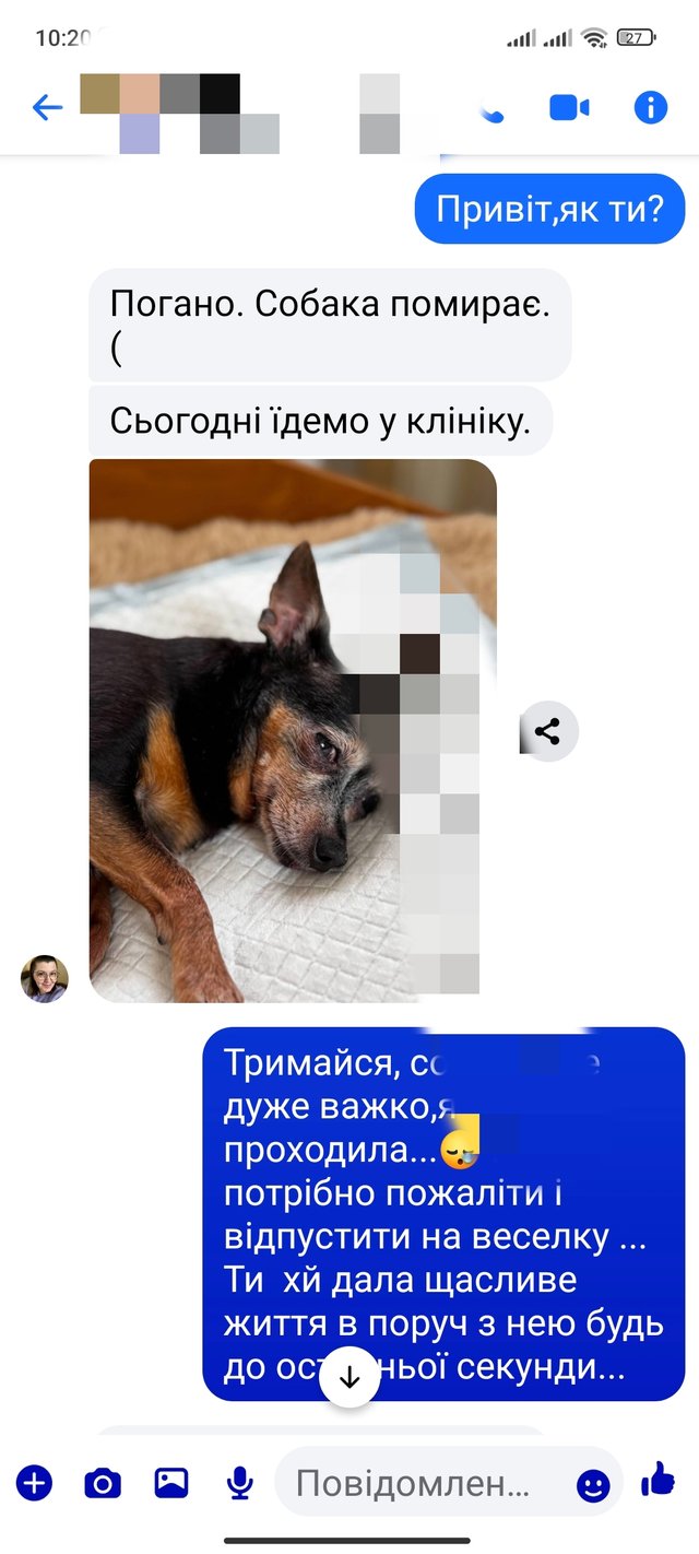 1000083647.jpg