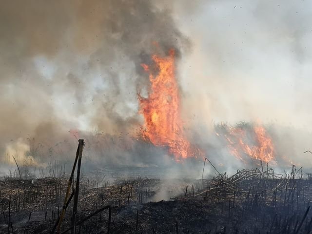 пожар Ларнака май 2020-о.jpg