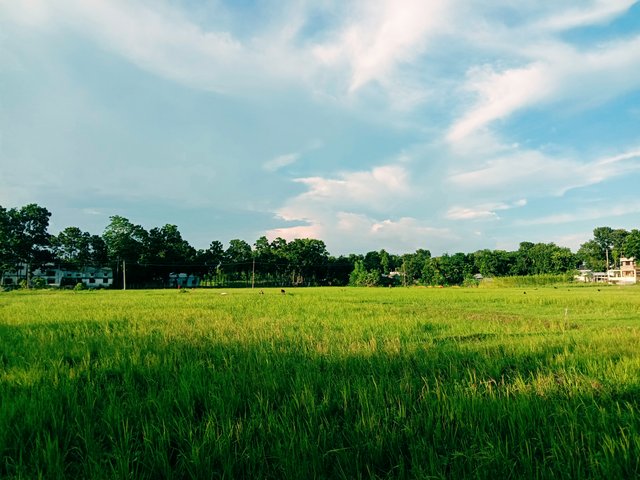 1000583650.jpg