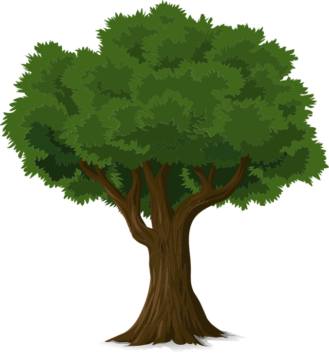 tree-576847_1280.png