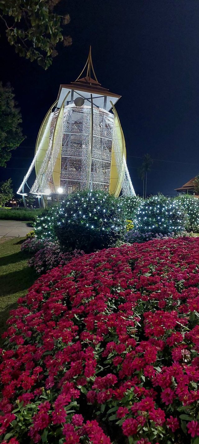 Charming Chiang Mai Flower Festival12.jpg