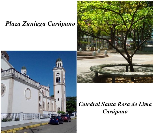 Catedral y Plaza.jpg