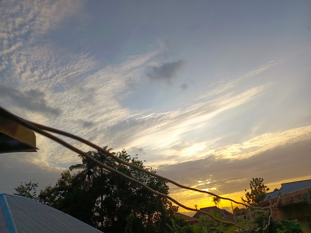 1000553504.jpg