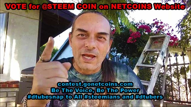 VOTE for @STEEM COIN on NETCOINS Website - contest.gonetcoins.com - Be The Voice, Be The Power - #dtubesnap to All #steemians and #dtubers.jpg