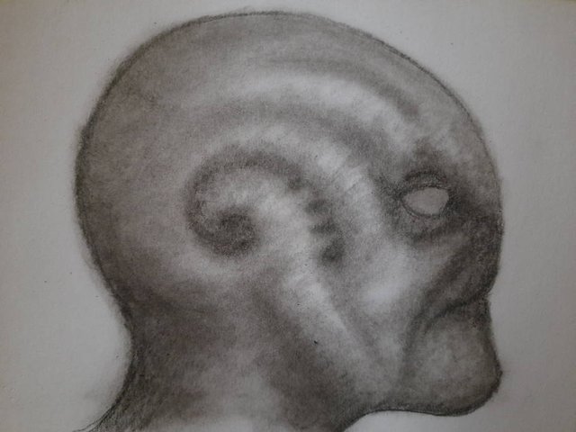 20251005_095116.jpg