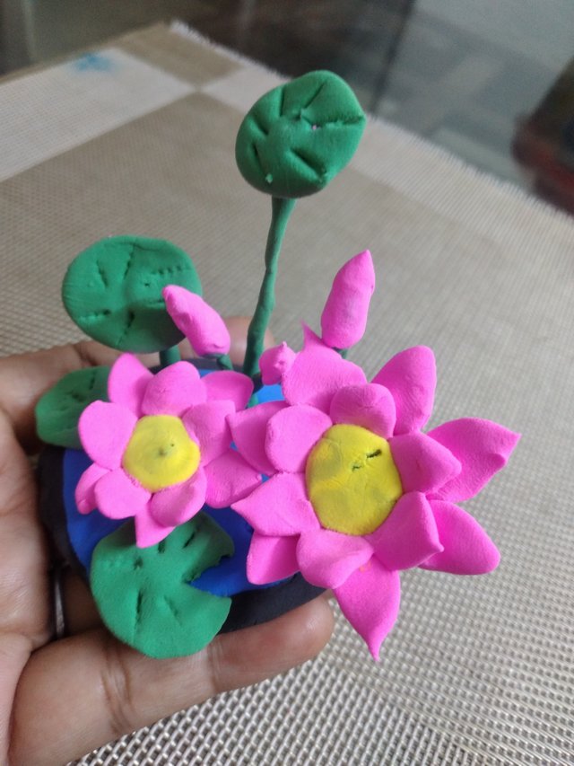 20250730_091553.jpg