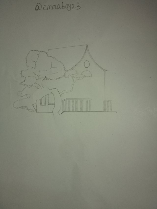 IMG_20250618_131551_075.jpg