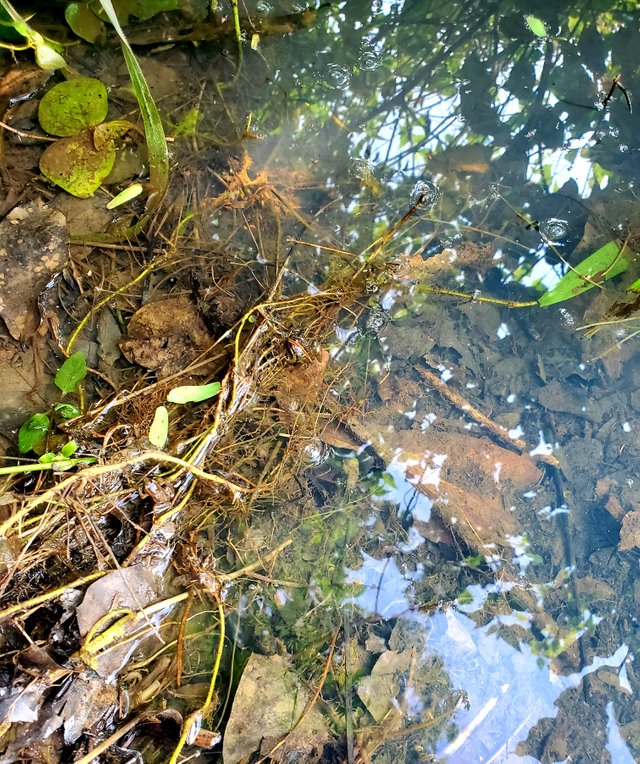 20220821_080227.jpg