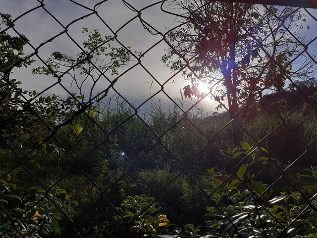 20221010_170856.jpg
