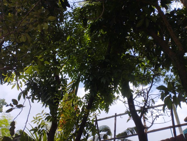 IMG_20250611_104735.jpg