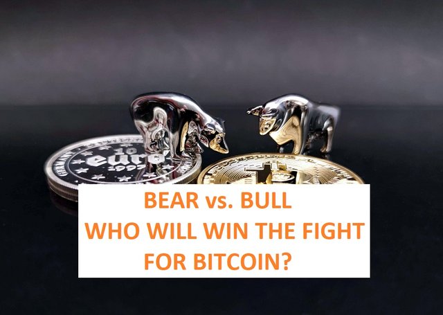 Bitcoin Bull vs Bear Thumbnail.jpg