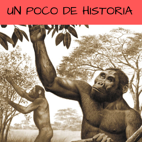 un poco de historia.png