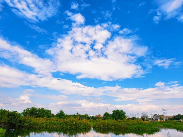 IMG_20250403_075309.jpg