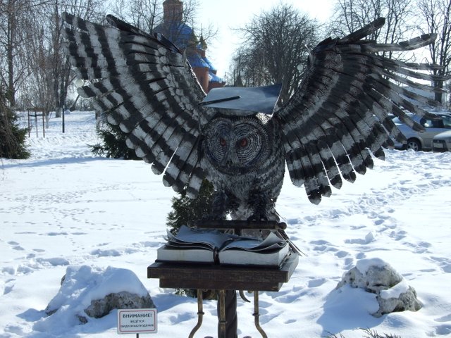 DSCF3154.JPG