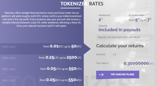 review-tokenizer-plan.png