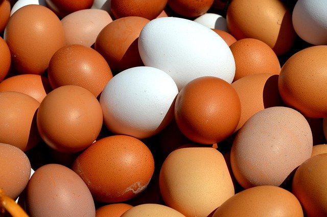 egg-2580904_640.jpg