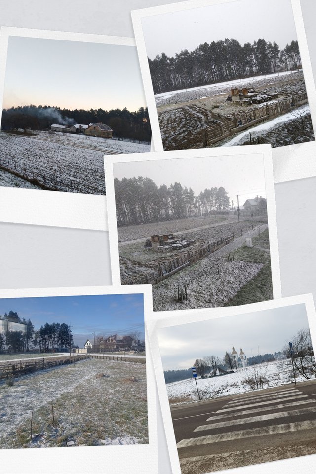 IMG_20210112_163558-COLLAGE.jpg