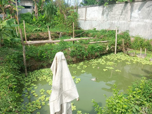 IMG45848903082025.jpeg