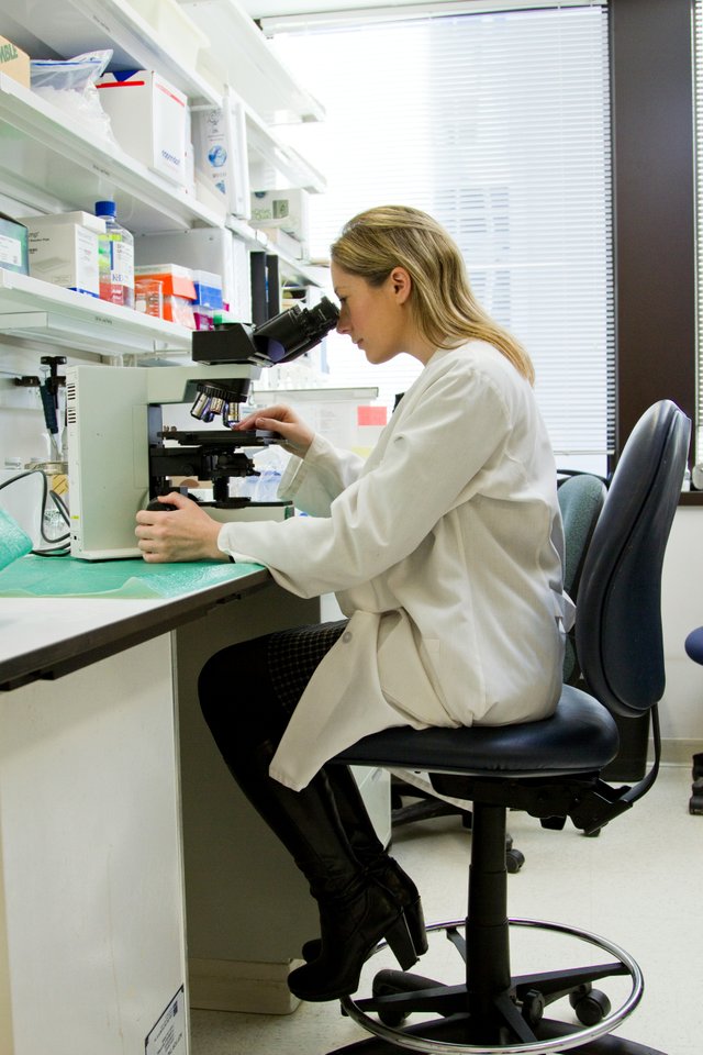 national-cancer-institute-BQGxNnyuFtU-unsplash.jpg