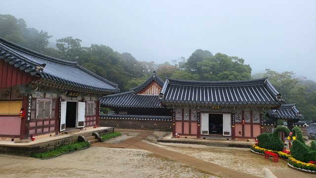 KakaoTalk_20251006_171223971_06.jpg