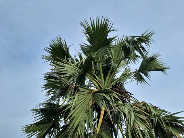 20250530_162247.jpg