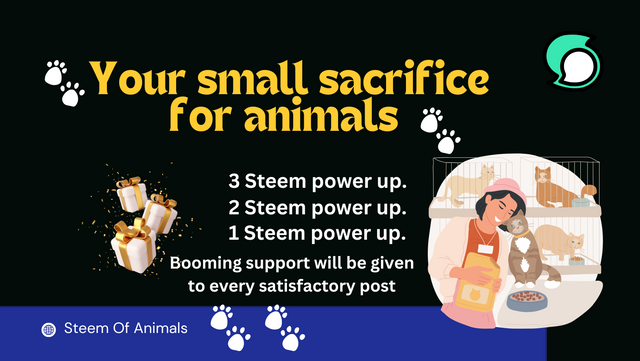 Blue Illustrated Animal Rescue Facebook Cover.png