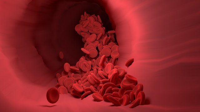 red-blood-cells-4256710_1280.jpg