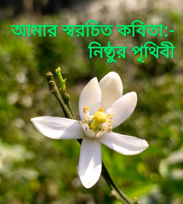 IMG_20230526_224803.jpg