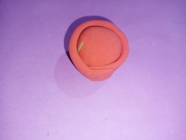 IMG20250309211329.jpg