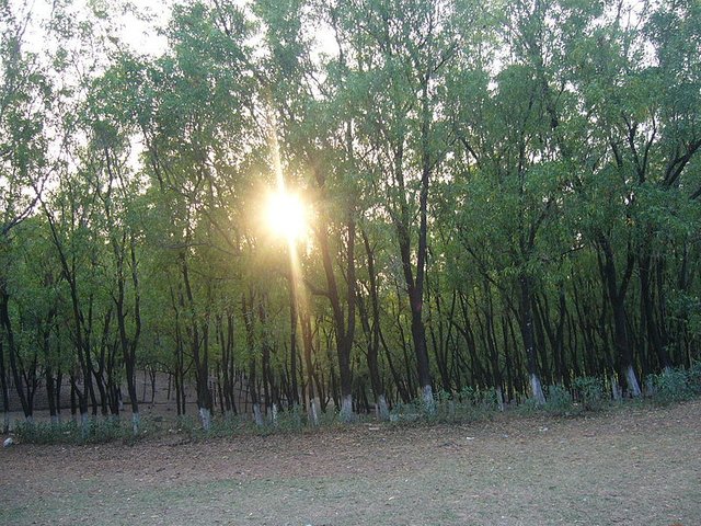 800px-Sripur_Picnic_Spot_Sylhet_Bangladesh_40.JPG