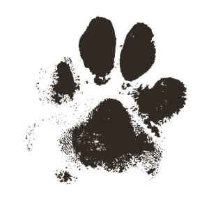 dog-paw-2263833_960_720.png