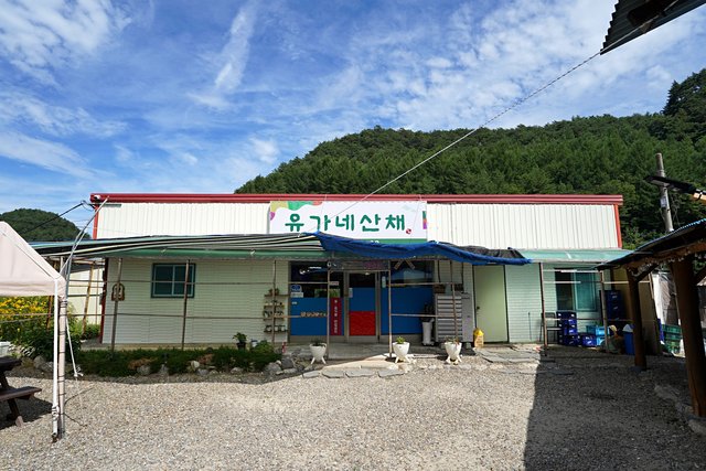 b-DSC00375.JPG