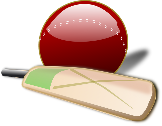 cricket-150561.png