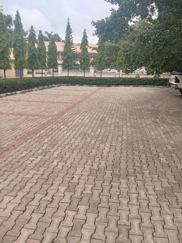 1000370032.jpg