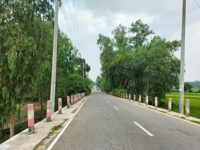 IMG20250418102631.jpg
