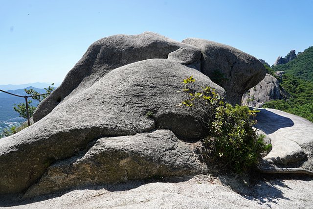 b-DSC08976.JPG