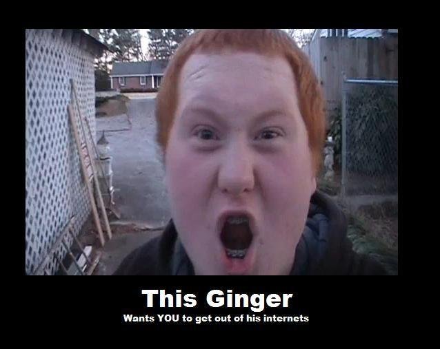 ginger.jpg