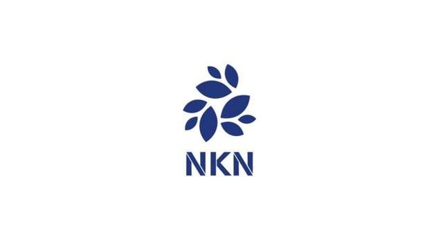 nkn-coin.jpeg