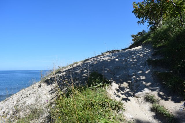 DSC_0224.JPG