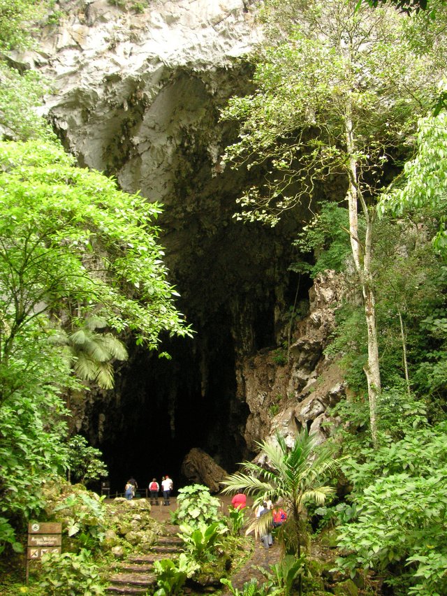 Cueva_del_Guacharo.jpg