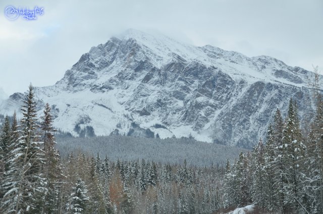 icefield parkway5.jpg